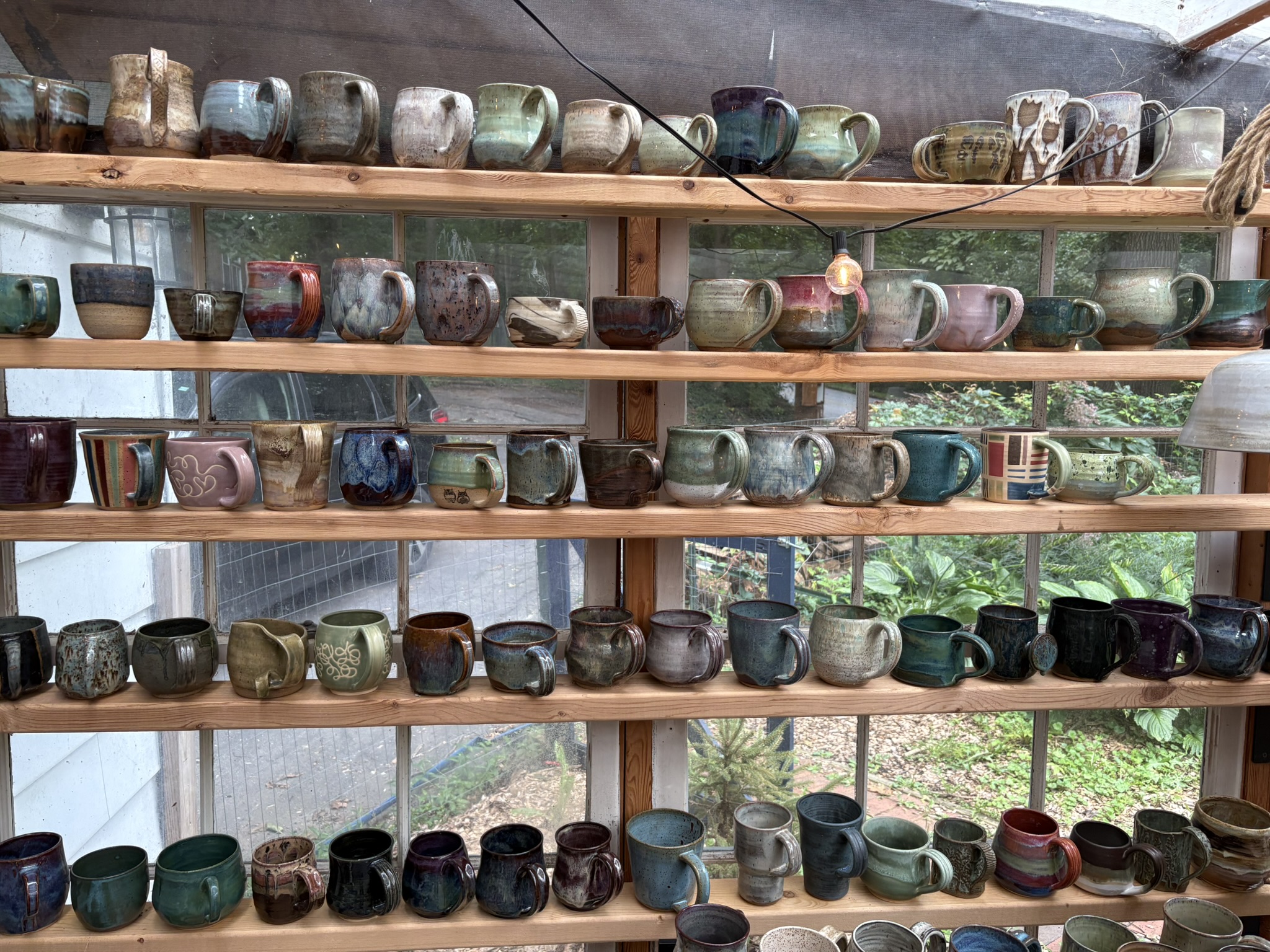 Rows of handmade mugs in varied glazes on wooden shelves in front of greenhouse windows